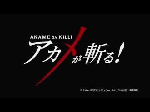 Akame ga Kill! trailer