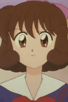 Rumiko Hirayama
