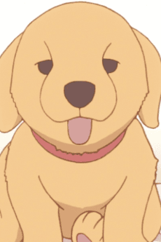 Roku Gotou